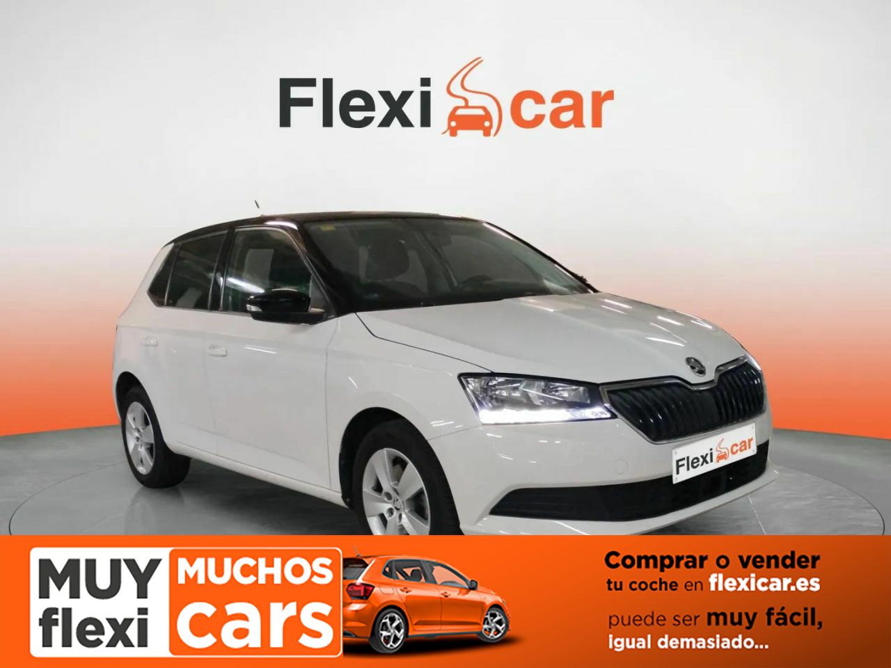 Foto Skoda Fabia 1