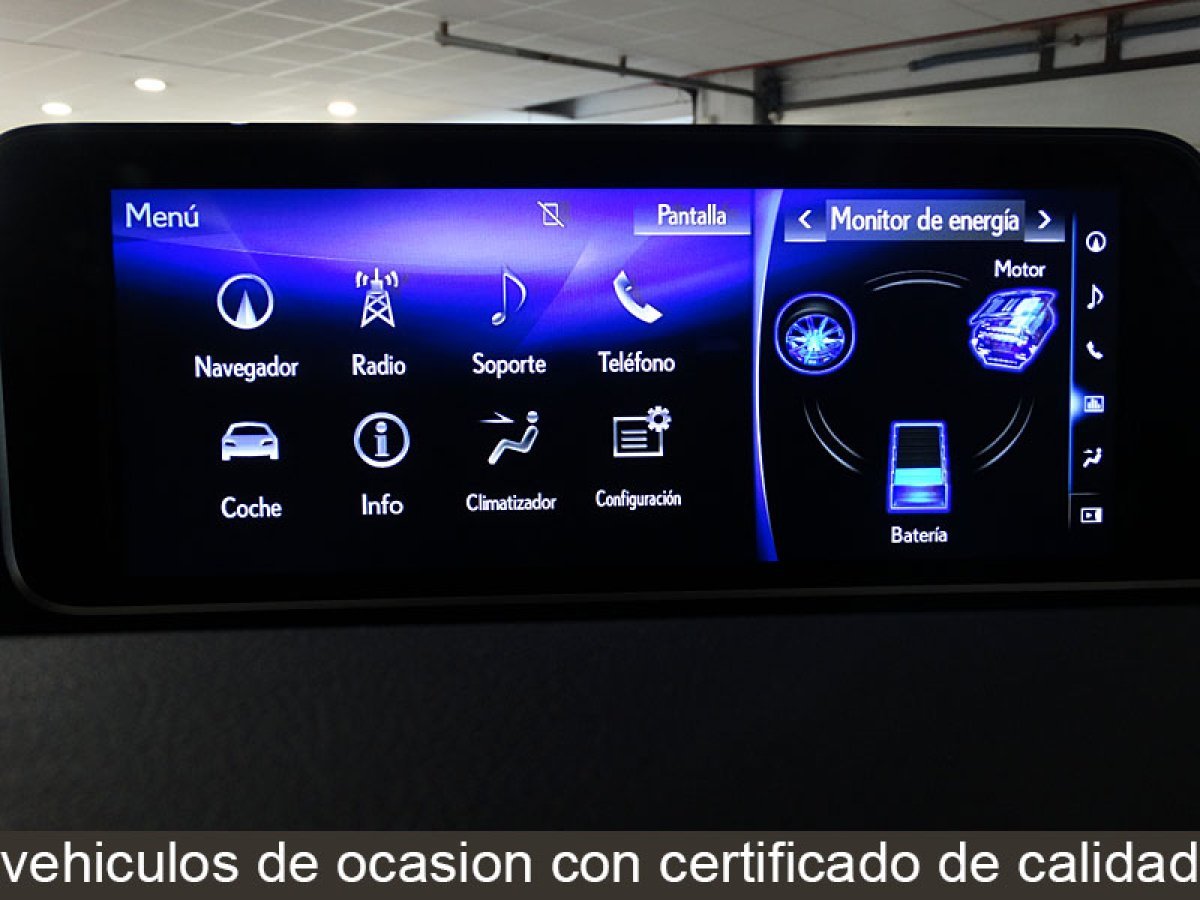 Foto Lexus RX 18