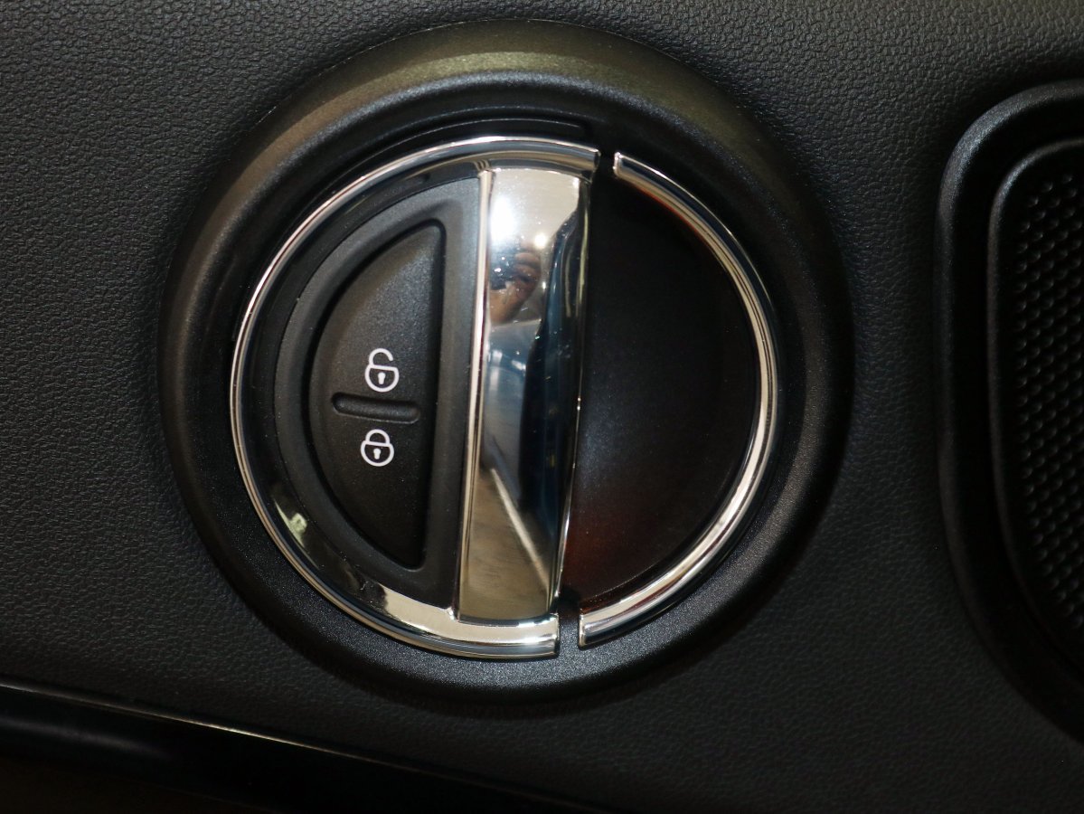 Foto Mini Countryman 19