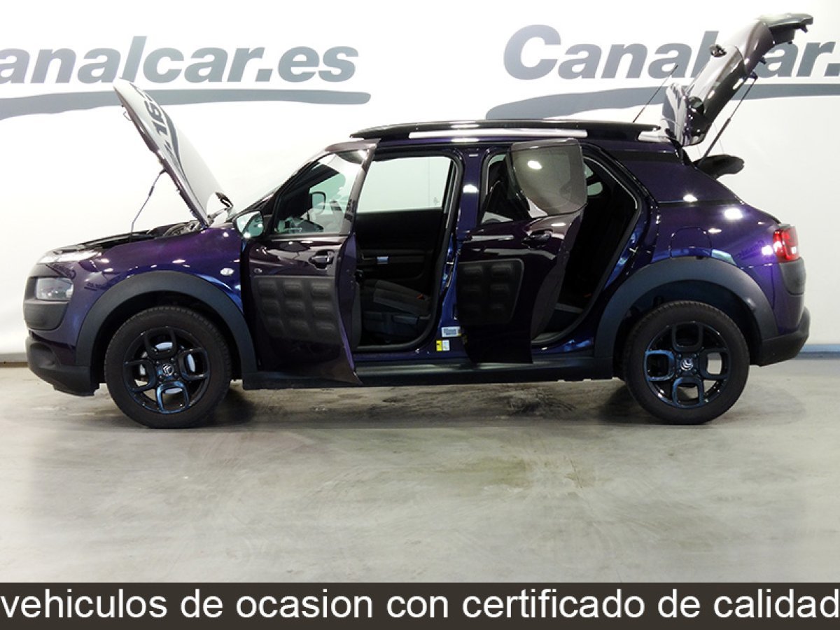 Foto Citroën C4 Cactus 9