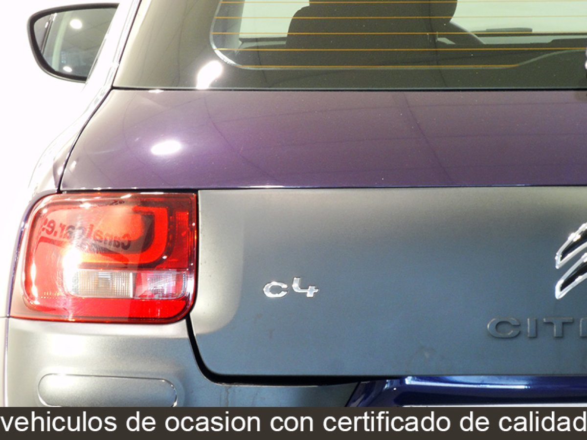 Foto Citroën C4 Cactus 12