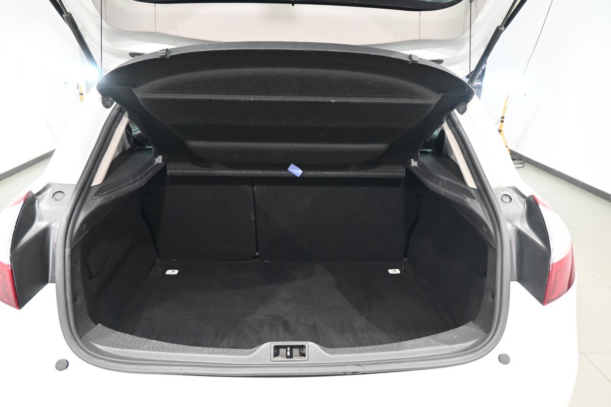 Foto Renault Mégane 8