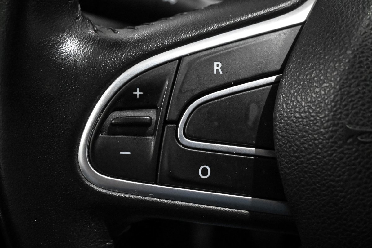 Foto Renault Scénic 23