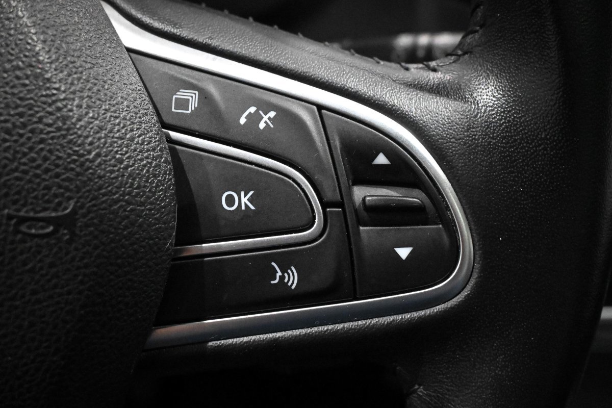 Foto Renault Scénic 24