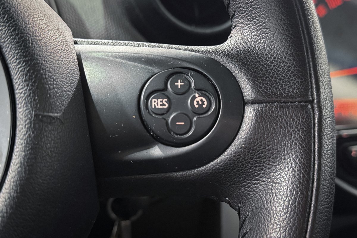 Foto Mini Countryman 20