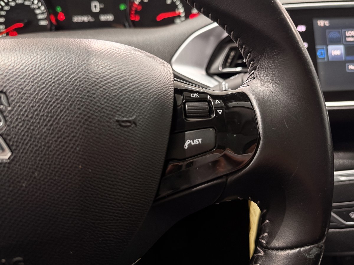 Foto Peugeot 308 SW 21