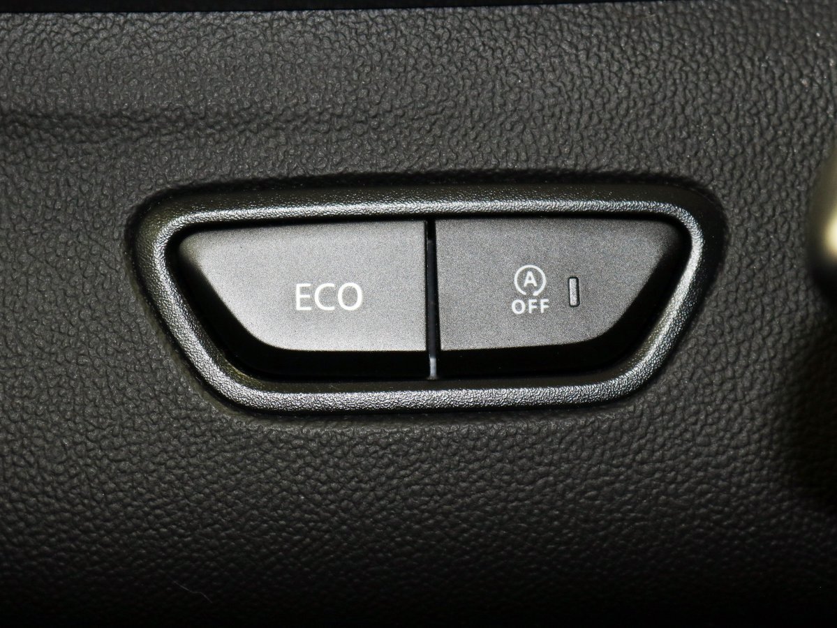 Foto Renault Kadjar 29