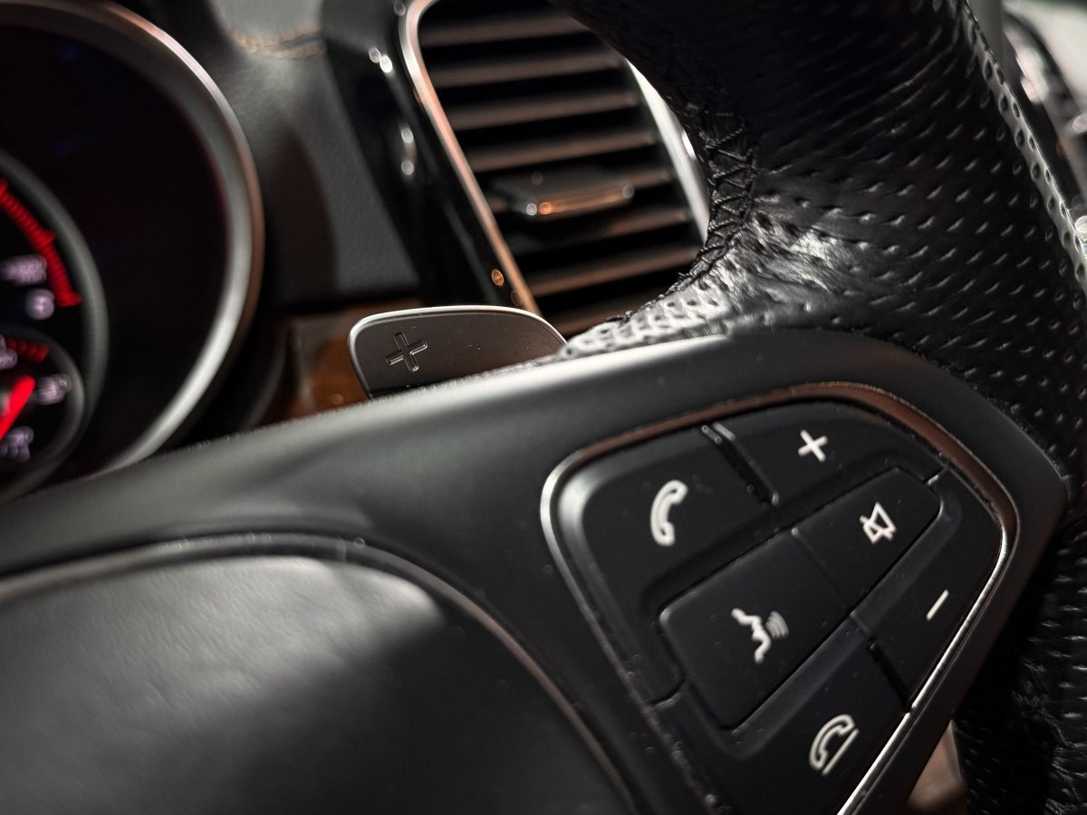 Foto Mercedes-Benz Clase GLS 27