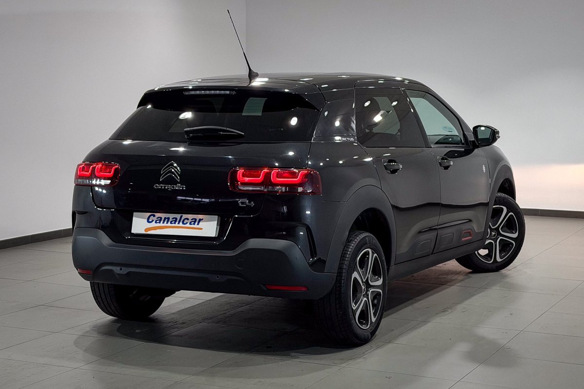 Foto Citroën C4 Cactus 4